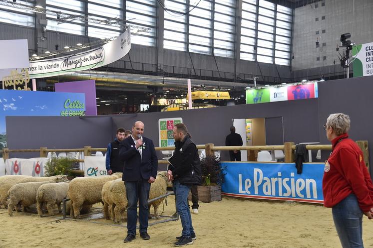 Paris, dimanche 22 février. David Tourte a animé le concours général d'ovins southdown et fait témoigner des éleveurs de cette race. 