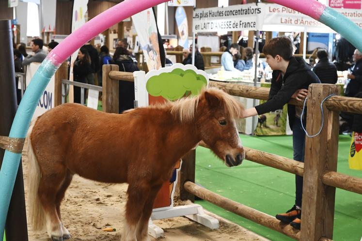 Au sein d'un pavillon qui leur était dédié, les équins ont eu un grand succès.