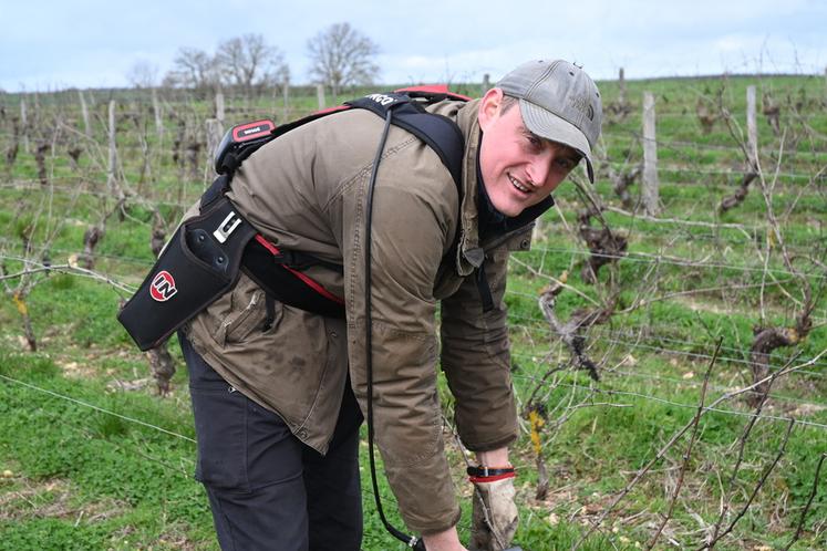 Mardi 17 février, à Villiers-sur-Loire. Florent Jumert, viticulteur à la tête d'un vignoble de 12 hectares, a commencé la taille des vignes début janvier. Celle-ci devrait se terminer fin février. 