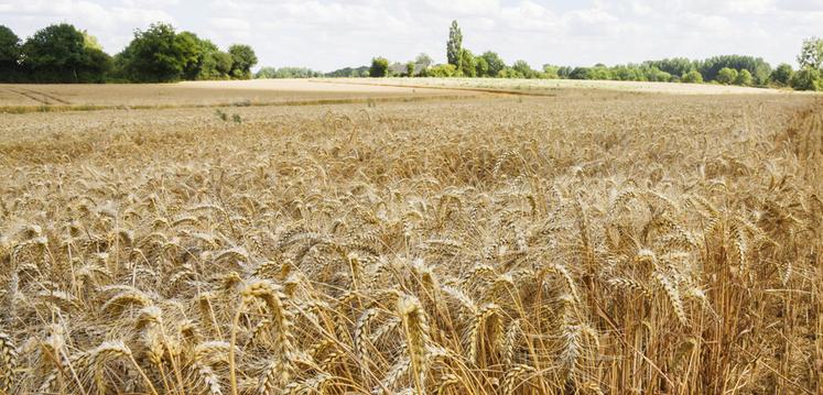 Une enveloppe de 1 434 000 euros est disponible pour le département d'Eure-et-Loir.