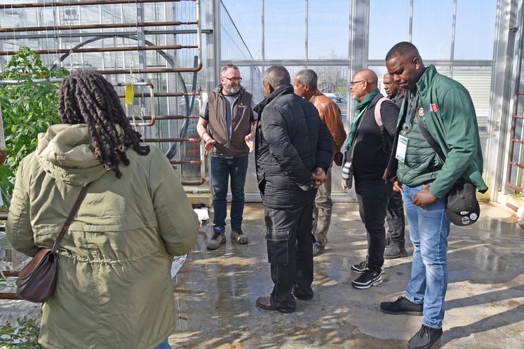 Jeudi 26 février, à Mandres-les-Roses (Val-de-Marne). Tout au long de l'après-midi, une délégation martiniquaise a suivi attentivement la visite de l'exploitation de Jean-Charles Raehm.