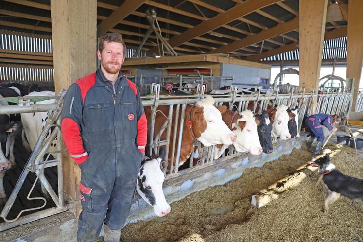 L'élevage de Moïse Pérard comporte 124 vaches laitières.