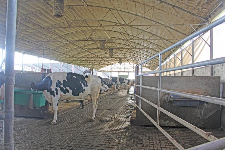 Cheminées et filets hauts assurent une température confortable.