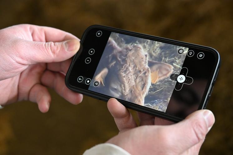 Toutes les commandes sont accessibles sur un téléphone. Le zoom puissant permet notamment de lire le numéro de chaque vache. 