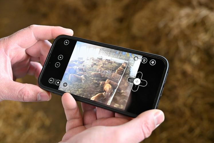 La caméra permet de surveiller le bâtiment et le troupeau de jour comme de nuit. 