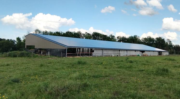 La production annuelle de 315 kWh d’électricité permet à Daisy et Arnaud Oudin de financer leur bâtiment, conçu pour être le plus agréable possible pour les animaux.