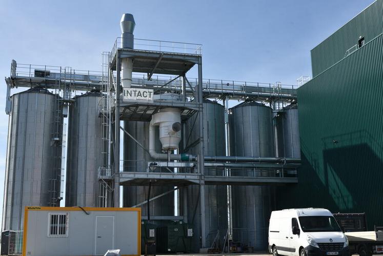 Mardi 17 mars, à Baule. Fondée en 2022 par Fanny de Castelnau, Alexis Duval et Christophe Hervé, Intact développe un site consacré à la transformation de légumineuses.