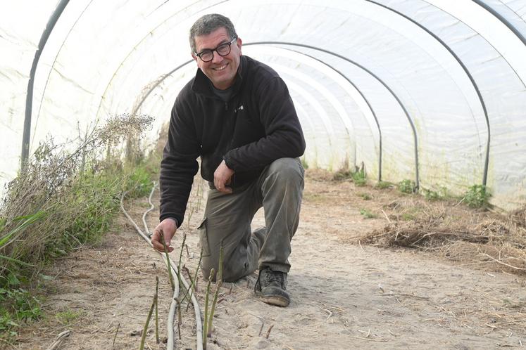 Denis Billault, producteur d'asperges vertes à Ouchamps, revient sur la saison qui a commencé près de deux semaines en avance par rapport à l'année dernière. 