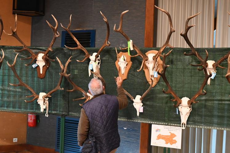 Du 27 au 29 mars, à Cour-Cheverny, la Fédération des chasseurs de Loir-et-Cher organisait son exposition de trophées de cerfs.