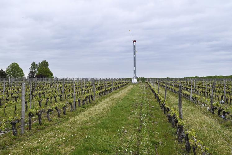 Les tours antigel ont bien fonctionné durant les dernières gelées en fin de semaine dernière. 