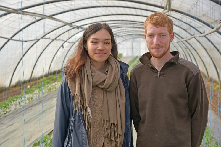 Gabriel Callard, installé depuis janvier 2025, a repris l’exploitation où il était salarié depuis 2018. Fannie Sertier l’a rejoint à l’automne, pour construire avec lui un projet en vente directe, sur les marchés et à la ferme.