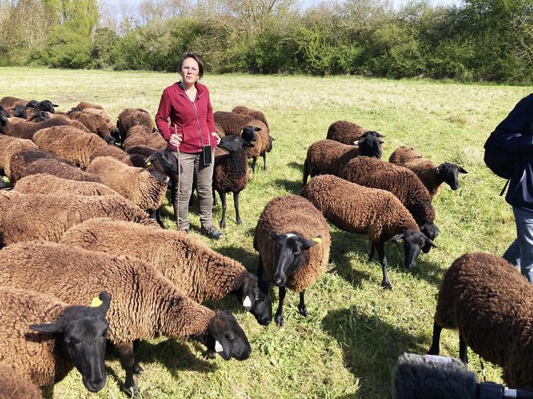 La bergère Isabelle Gravrand conduit le troupeau de brebis noires du Velay, associant production agricole et gestion écologique des milieux ligériens.