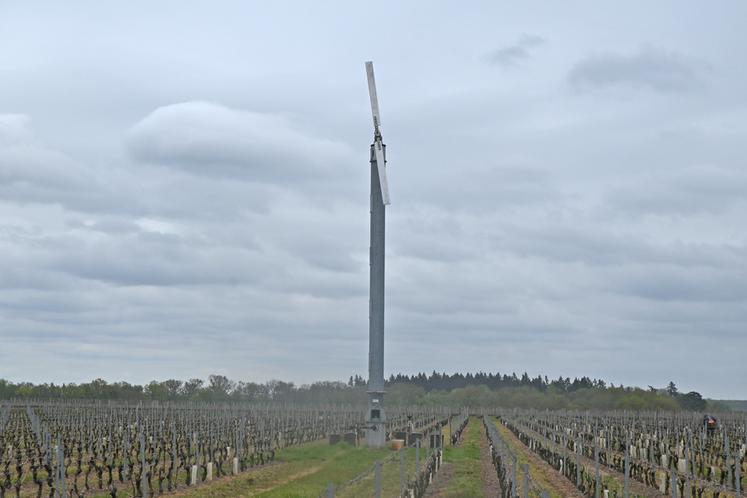 Ses deux tours antigel ont déjà été grandement sollicitées cette année, près de dix soirs durant le mois de mars, alors qu'elles n'avaient pas été démarrées l'année dernière. 