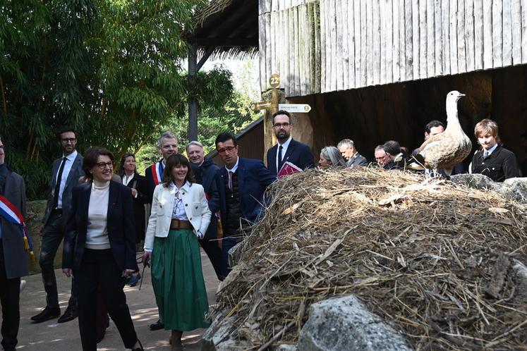 Les animaux, eux, aussi avaient envie de pointer le bout de leur bec lors de cette visite ministérielle. 