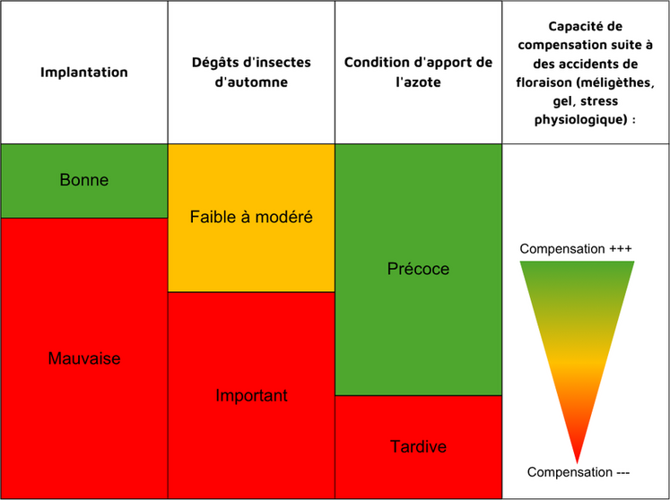Capacité de compensation du colza selon différents critères.