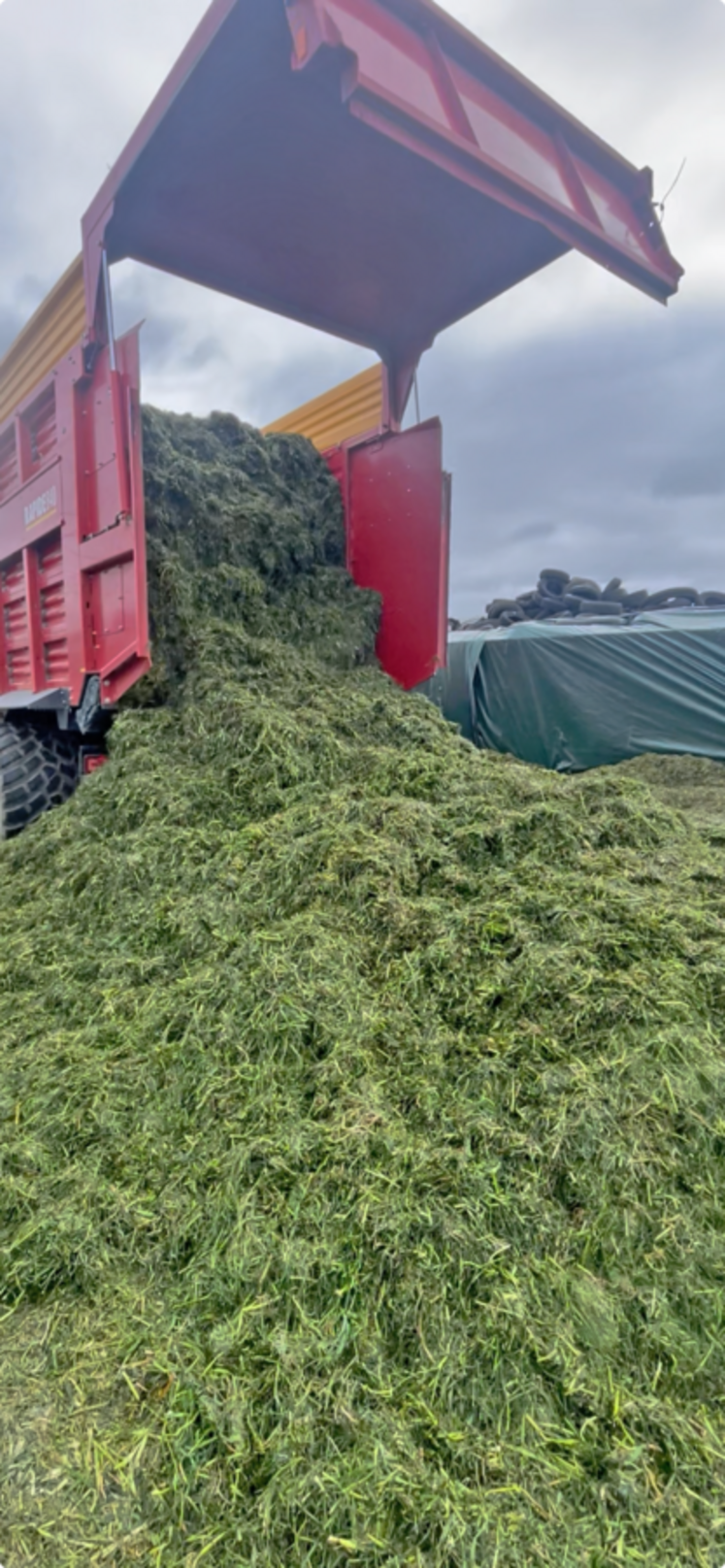 Le Gaec possède son propre parc matériel pour sécuriser sa récolte et agir en temps voulu, ce qui engendre des coûts supplémentaires mais une plus grande souplesse et une meilleure réactivité. 