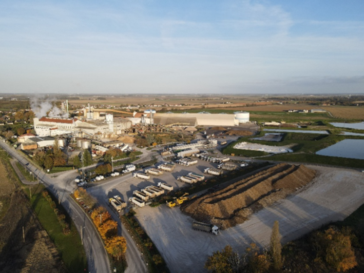 Lors de la présentation de ses résultats 2025-2026, Cristal Union a détaillé une activité en repli dans un marché du sucre sous pression, tout en mettant en avant le rôle de l’éthanol et la solidité de son modèle.