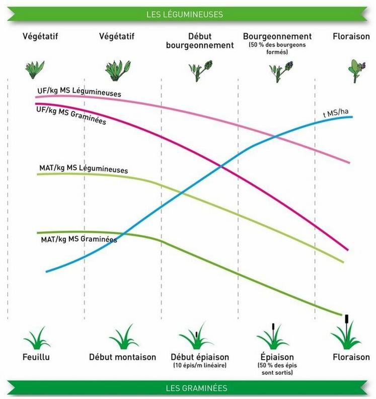 Le rendement augmente alors que les valeurs énergétique et protéique décroissent.