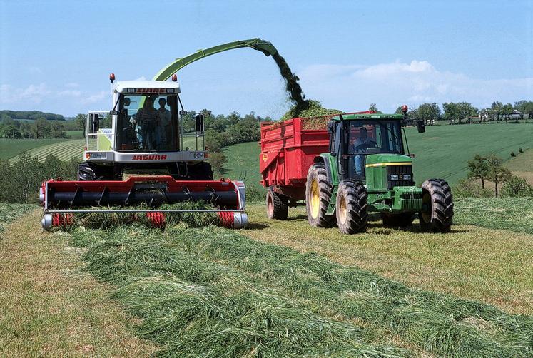 L’ensilage d’herbe et l’enrubannage sont à privilégier pour des animaux exigeants.
