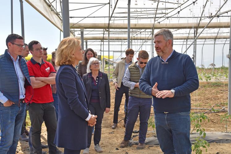 Vulaines-lès-Provins, vendredi 17 avril. Brice De Bisschop termine la visite de son exploitation par les serres, une diversification datant de 2022.