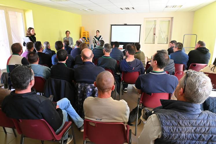 Bougligny (Seine-et-Marne), jeudi 23 avril. La chambre d'Agriculture et GRDF ont restitué une enquête menée sur les Cultures intermédiaires à vocation énergétique.