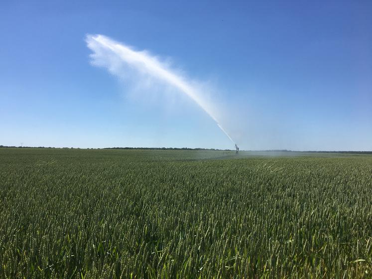 Sécheresse précoce, pluie tardive : l’eau reste au cœur des enjeux agricoles dans le Loiret.