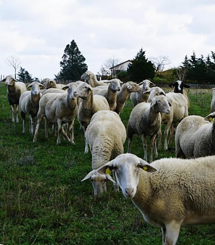 Le GDS Centre-Val de Loire appelle à la plus grande vigilance.