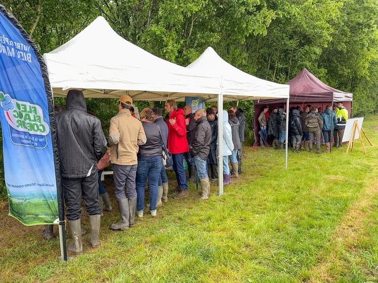 Mardi 5 mai, à Dammarie. Sous la pluie tant attendue, une quarantaine d'agriculteurs a participé à la réunion technique consacrée au lin oléagineux autour des représentants de toute la filière.
