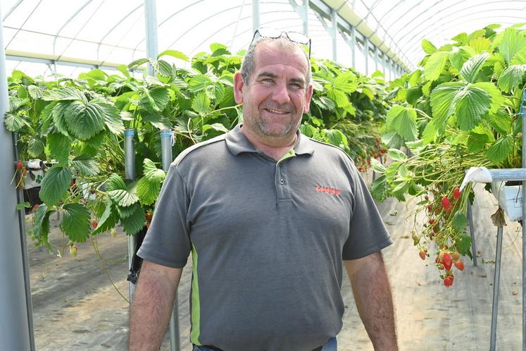 Thomas Piquet, producteur de fraises et membre du bureau du Cadran de Sologne, revient sur la saison des fraises compliquée mais avec des enseignements intéressants.