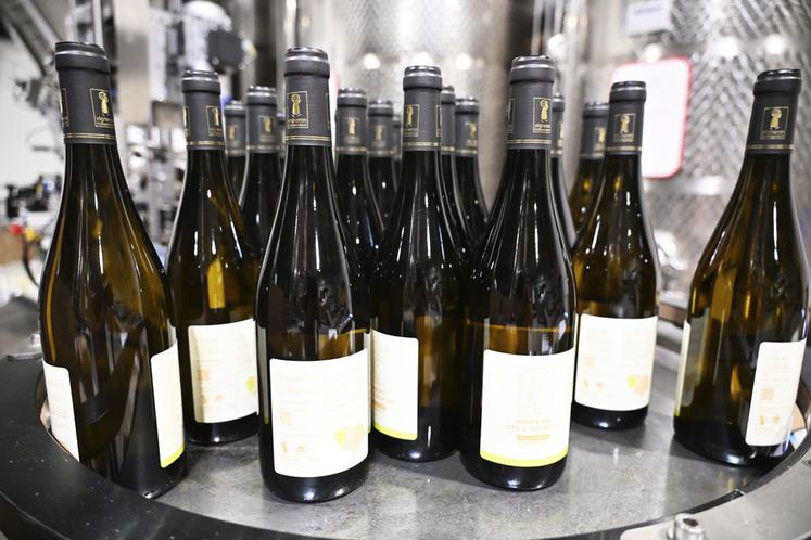 Chardonnay, pinot, sauvignon... Près de 50 000 bouteilles sont produites pour cette première année.