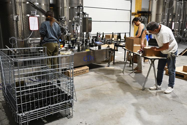L'équipe du chai procède aux mises en bouteille et à l’étiquetage du premier millésime.