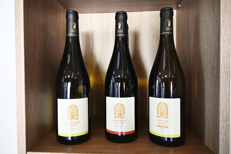 Les vins seront commercialisés en direct au chai, sur rendez-vous, mais aussi auprès des cavistes, cafés, hôtels et restaurants des environs.