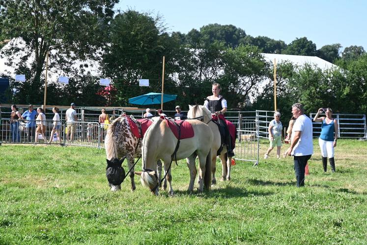 À Tréhet, à Vallée-de-Ronsard, samedi 20 et dimanche 21 juin, de nombreux animaux étaient présents, dont des chevaux. Quelques spectacles équestres ont pu se dérouler le matin avant l'arrivée des fortes chaleurs. 