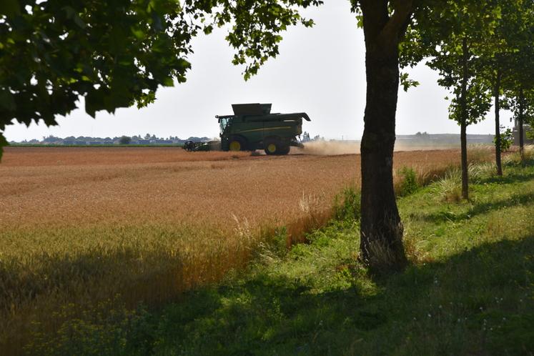 Lundi 22 juin, à Étampes (Essonne). Le lancement de la moisson 2026 est perturbé par une période de canicule.