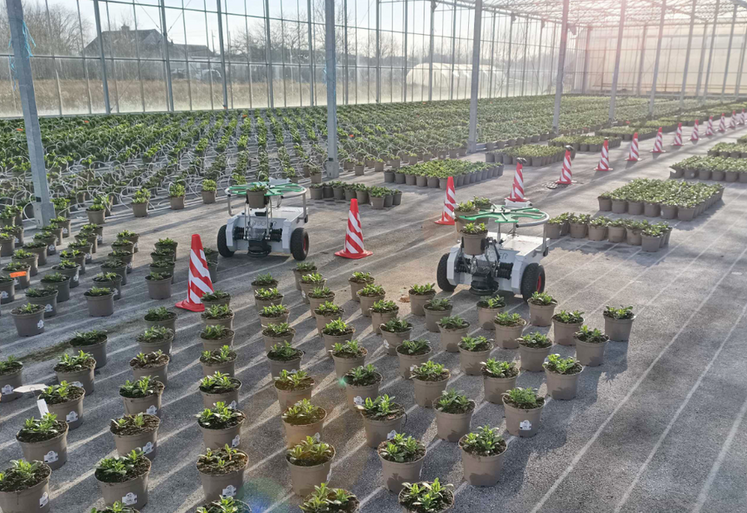 Grâce à son système de guidage laser, Trooper espace les plantes avec précision et peut travailler jusqu'à dix heures en autonomie.