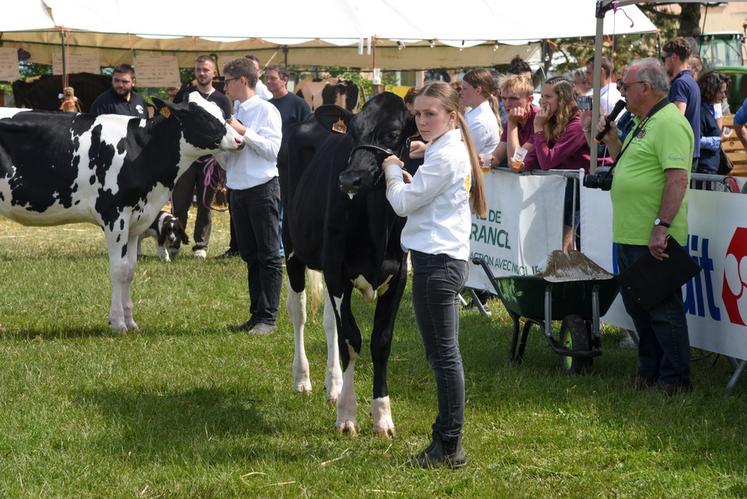 Le concours des jeunes présentateurs.