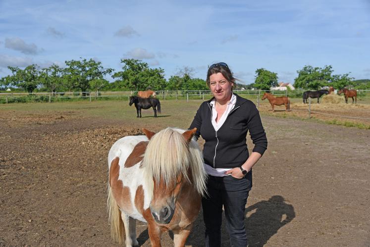 Mardi 9 juin, à Cléry-Saint-André (Loiret). Anne-Sophie Riguet a développé le Poney-Club des 5 Arpents autour de la découverte, du soin et de la relation avec l’animal, bien au-delà du seul temps passé en selle.