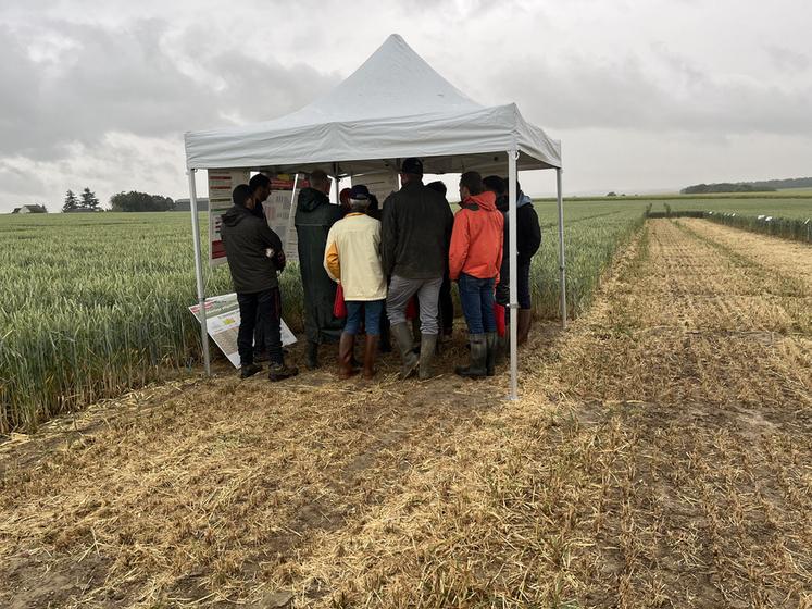 Mardi 2 juin, à Richebourg (Yvelines). Malgré la pluie, les agriculteurs sont venus assister à la plateforme ouest de la chambre d'Agriculture Île-de-France.