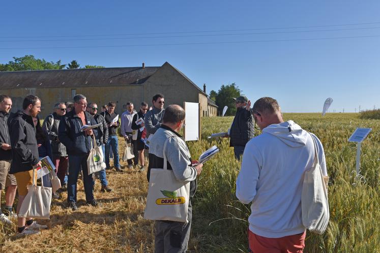 Mardi 9 juin, à Chalou-Moulineux (Essonne). Les agriculteurs, ainsi que des élus locaux, sont venus assister à la plateforme sud de la chambre d'Agriculture Île-de-France.