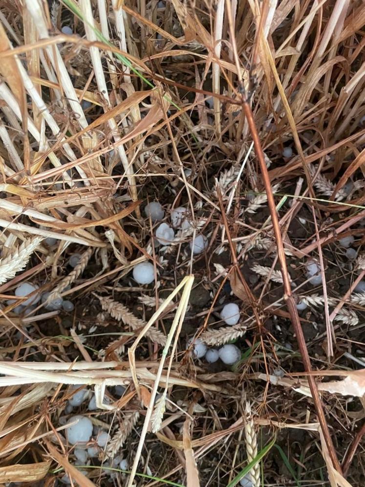De gros grêlons sont tombés dans les Yvelines.