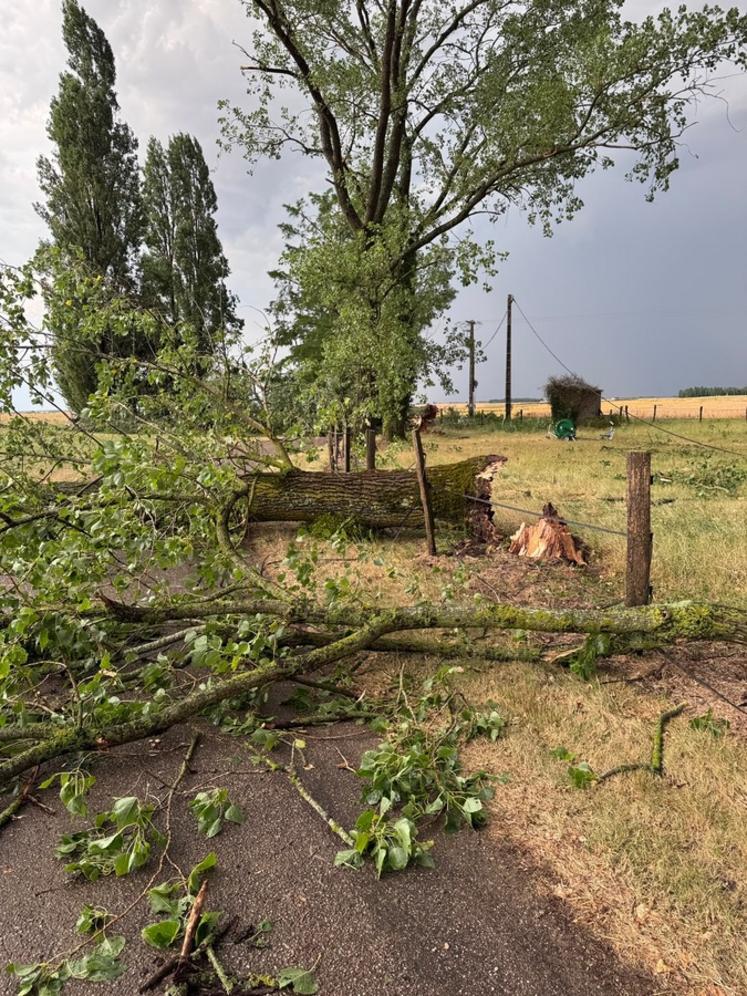 Lors du passage de l'orage, de nombreux arbres ont cassé, provoquant parfois des dégâts.