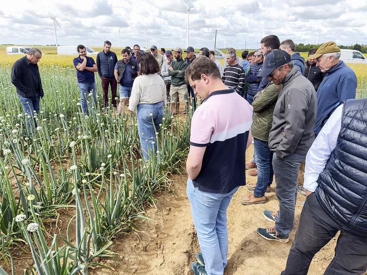 Le 9 juin, à Gaubert (Eure-et-Loir). Une trentaine d'agriculteurs a participé à la matinée diversification semences organisée par Semae.