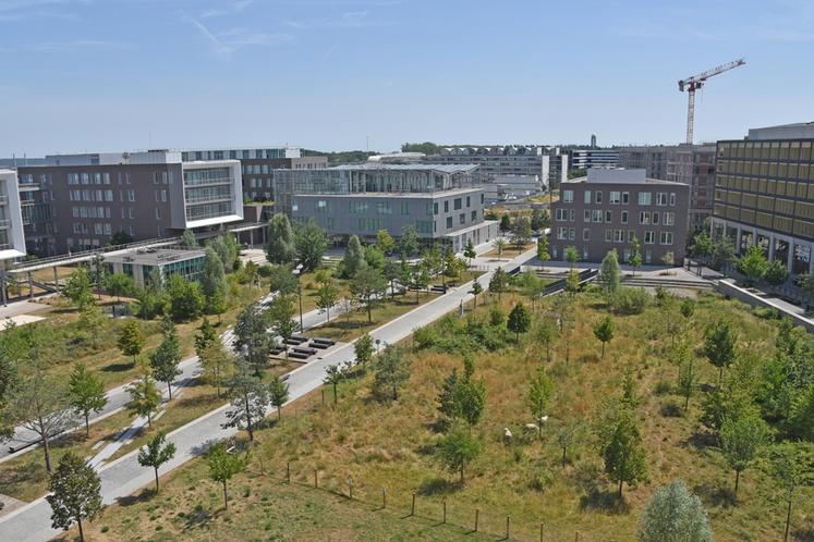 Le campus AgroParisTech de Palaiseau (Essonne) accueillera 30 % d'étudiants en plus d'ici 2030.