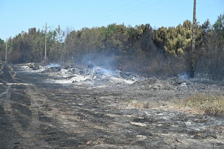 Le sud du Loir-et-Cher a été touché par de violents incendies mardi 7 juillet, notamment à Châtillon-sur-Cher, Fresnes et Chémery. Les feux ont été maîtrisés dès le lendemain, malgré la présence de quelques foyers résiduels.