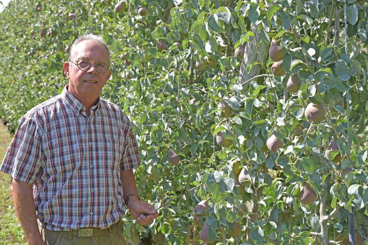 Jérôme Brou cultive 15 hectares de poiriers, 2 hectares de cerisiers et 1,5 hectare de fraises à Saint-Denis-en-Val.
