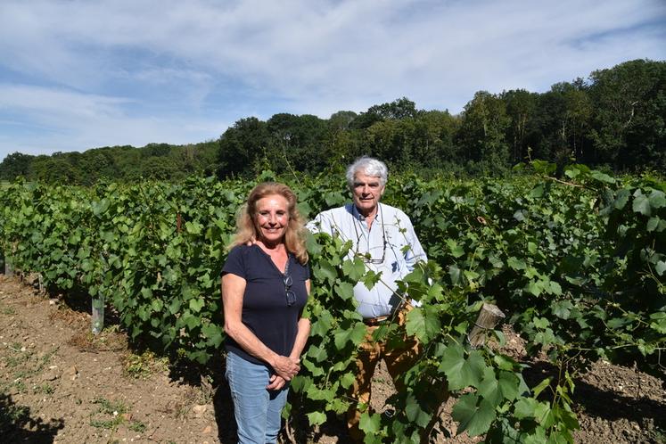 Évry-Grégy-sur-Yerres (Seine-et-Marne), vendredi 19 juin. Marie-Hélène et Pierre-Gilles Gromand au milieu de leurs vignes franciliennes.