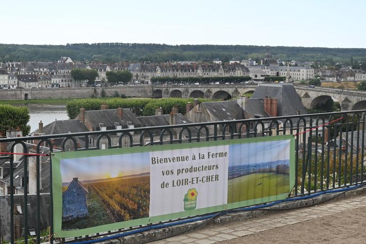 Dimanche 26 juillet, à Blois. Le marché d'été de Bienvenue à la ferme de Loir-et-Cher s'est tenu au sein des jardins de l'Évêché, proposant une vue imprenable sur la ville. 