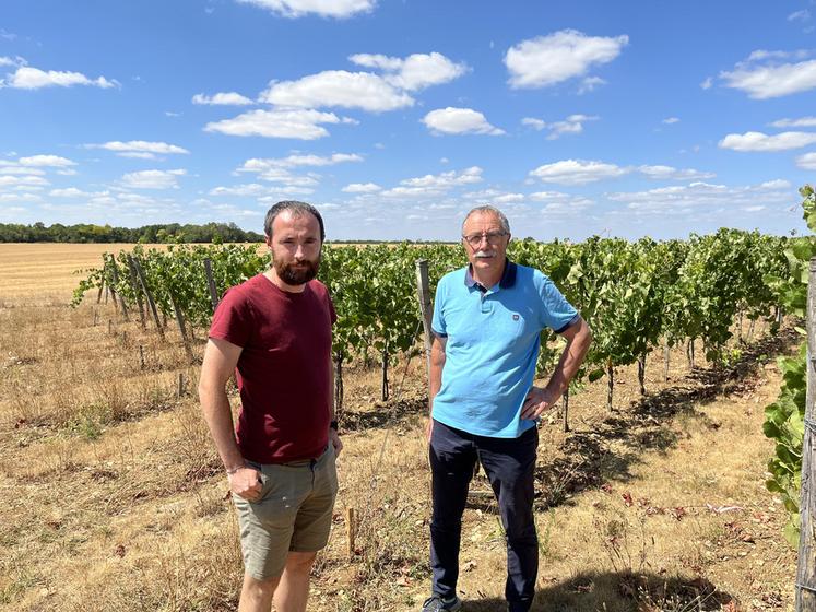 Lundi 27 juillet, à Morigny-Champigny (Essonne). Philippe, le père, et Pierre-Louis, le fils, Morchoisne ont lancé une activité viticole en marge de la transmission de l'exploitation.