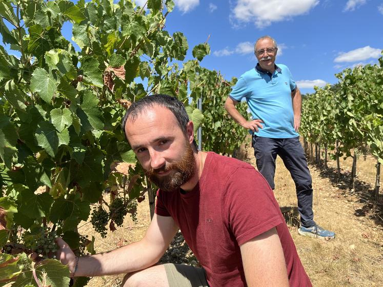 Lundi 27 juillet, à Morigny-Champigny (Essonne). Philippe, le père, et Pierre-Louis, le fils, Morchoisne ont lancé une activité viticole en marge de la transmission de l'exploitation en grandes cultures.