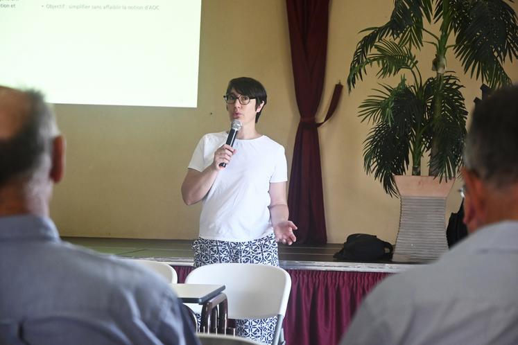 Isabelle Defrocourt, directrice de la FAV 41 est revenue sur les actions menées par la fédération durant l'année 2025. 